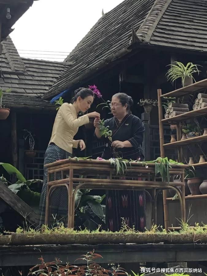 问答交流平台哪个地板品牌好?我要给家里选?,专注解决你的疑惑